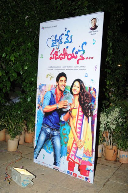 Pyaar-Mein-Padipoyane-Audio-Launch